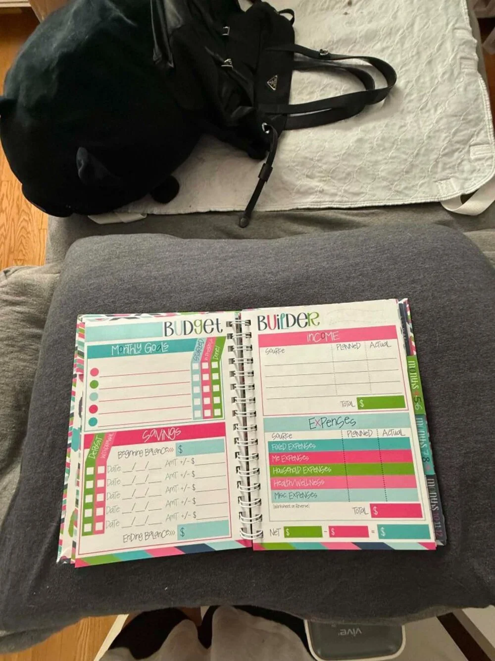 Denise Albright Budget Binder™ Undated 12-Month Budget Planner Workbook